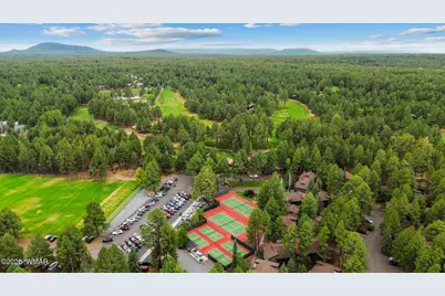 3194 Viking Trail, Pinetop, AZ 85935 - Photo 17