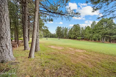 3194 Viking Trail, Pinetop, AZ 85935 - Photo 9