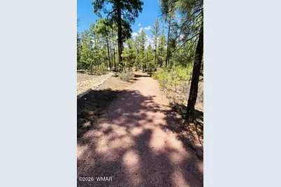 1670 W Snow Creek Loop, Show Low, AZ 85901 - Photo 13