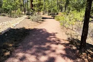 1670 W Snow Creek Loop, Show Low, AZ 85901 - Photo 13