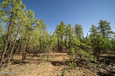 4501 S White Mountain Road, Show Low, AZ 85901 - Photo 11