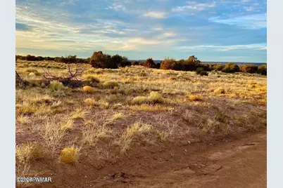 Woodland Valley Ranch Lot 902, Saint Johns, AZ 85936 - Photo 19