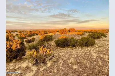 Woodland Valley Ranch Lot 902, Saint Johns, AZ 85936 - Photo 15