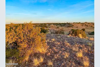 Woodland Valley Ranch Lot 902, Saint Johns, AZ 85936 - Photo 9