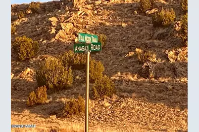 Woodland Valley Ranch Lot 902, Saint Johns, AZ 85936 - Photo 5