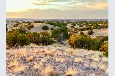 Woodland Valley Ranch Lot 902, Saint Johns, AZ 85936 - Photo 11