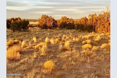 Woodland Valley Ranch Lot 902, Saint Johns, AZ 85936 - Photo 17