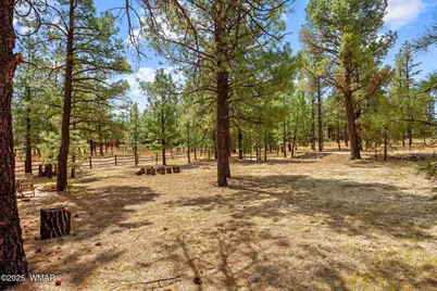 2 Acr 1027, Greer, AZ 85927 - Photo 43