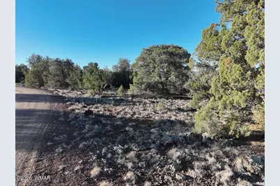 1838 Rocky Bottom Place, Show Low, AZ 85901 - Photo 3