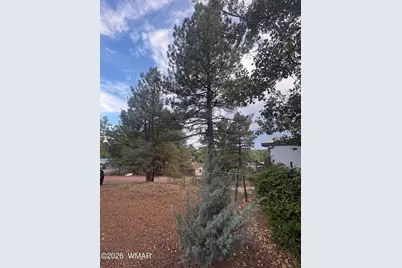 2558 Bob O Link Drive, Show Low, AZ 85901 - Photo 39