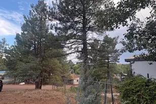 2558 Bob O Link Dr, Show Low, AZ 85901 - Photo 39