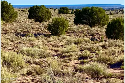 River Meadows Ranch Unit 3 Lot 204, Concho, AZ 85924 - Photo 21