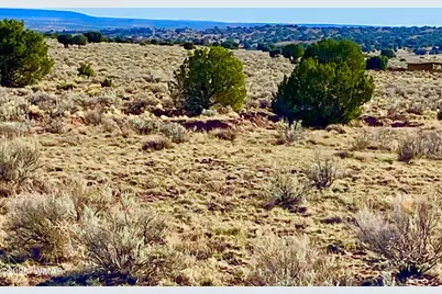 River Meadows Ranch Unit 3 Lot 204, Concho, AZ 85924 - Photo 19