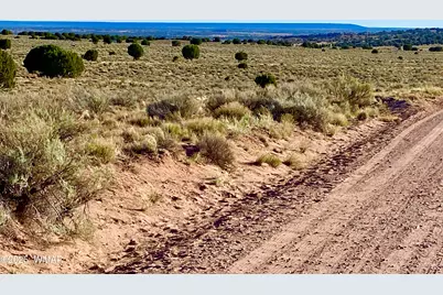 River Meadows Ranch Unit 3 Lot 204, Concho, AZ 85924 - Photo 5