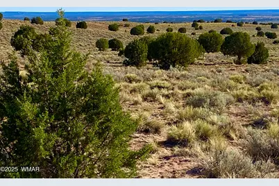 River Meadows Ranch Unit 3 Lot 204, Concho, AZ 85924 - Photo 1