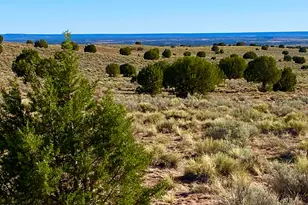 River Meadows Ranch Unit 3 Lot 204, Concho, AZ 85924 - Photo 1
