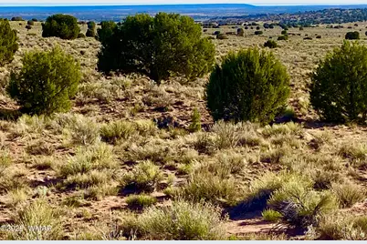 River Meadows Ranch Unit 3 Lot 204, Concho, AZ 85924 - Photo 7