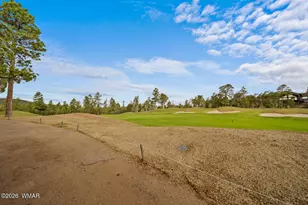 1660 S Wheatgrass Ln, Show Low, AZ 85901 - Photo 45