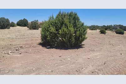 8430 Lake View Drive, Show Low, AZ 85901 - Photo 1