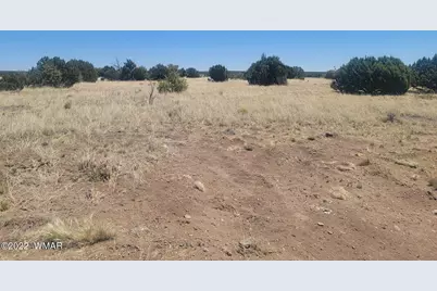 8430 Lake View Drive, Show Low, AZ 85901 - Photo 3