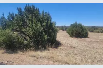 8435 Lake View Drive, Show Low, AZ 85901 - Photo 1