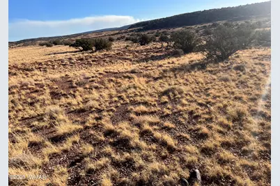 24 N8448, Concho, AZ 85924 - Photo 3