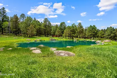 11 North, Greer, AZ 85927 - Photo 21