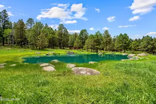 11 N, Greer, AZ 85927 - Photo 21