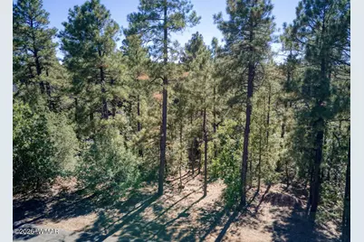 688 Pine Creek Drive, Lakeside, AZ 85929 - Photo 17