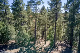 688 Pine Creek Dr, Lakeside, AZ 85929 - Photo 17
