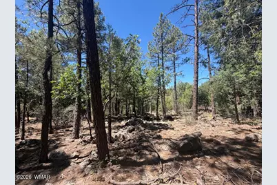 688 Pine Creek Drive, Lakeside, AZ 85929 - Photo 5