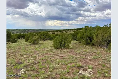 108 Co Rd 8127 Road, Concho, AZ 85924 - Photo 9