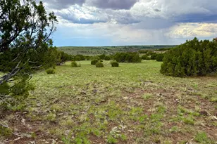 127 Co Rd 8051 Rd, Concho, AZ 85924 - Photo 1