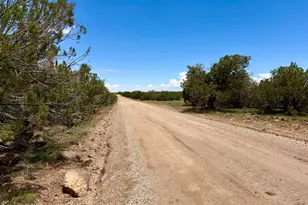 127 Co Rd 8051 Rd, Concho, AZ 85924 - Photo 1