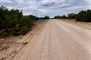 127 Co Rd 8051 Rd, Concho, AZ 85924 - Photo 1