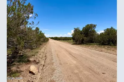 129 Co Rd 8051, Concho, AZ 85924 - Photo 17