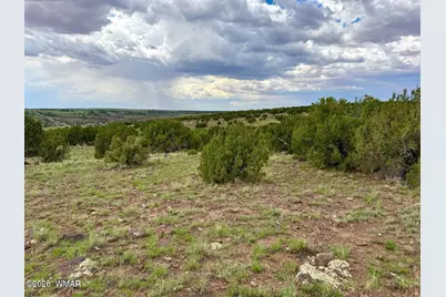 129 Co Rd 8051, Concho, AZ 85924 - Photo 5
