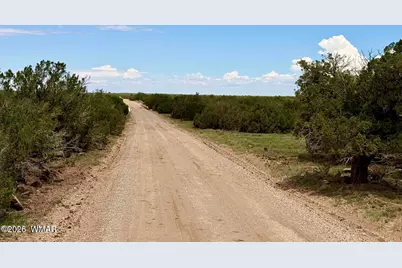 125 Co Rd 8051, Concho, AZ 85924 - Photo 7