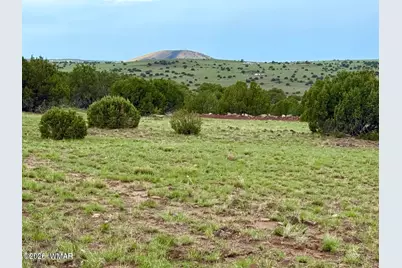 125 Co Rd 8051, Concho, AZ 85924 - Photo 15