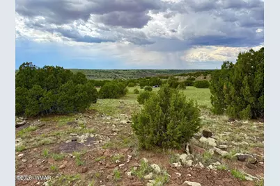 125 Co Rd 8051, Concho, AZ 85924 - Photo 5