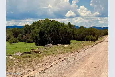 121, 125, 127 &amp; 129 Co Rd 8051, Concho, AZ 85924 - Photo 9