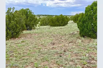 121, 125, 127 &amp; 129 Co Rd 8051, Concho, AZ 85924 - Photo 11