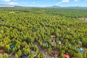 6378 Christmas Tree Cir, Pinetop, AZ 85935 - Photo 49