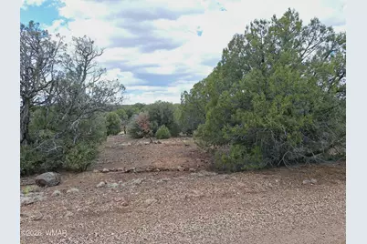 8273 Ridge Drive, Show Low, AZ 85901 - Photo 9