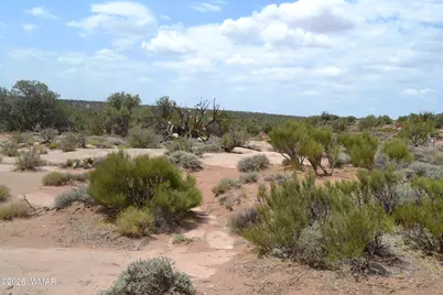 3813 S Hay Hollow Road, Snowflake, AZ 85937 - Photo 13