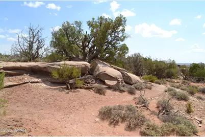 3813 S Hay Hollow Road, Snowflake, AZ 85937 - Photo 15