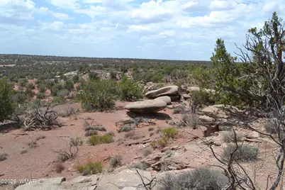 3813 S Hay Hollow Road, Snowflake, AZ 85937 - Photo 21