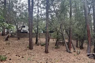 518 S Walnut Creek Loop, Pinetop, AZ 85935 - Photo 1