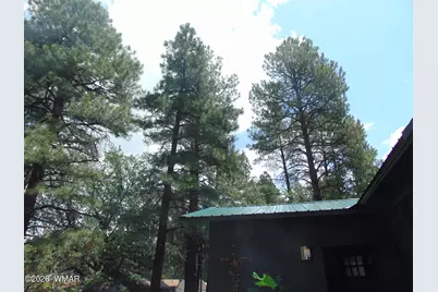 2878 Pinon Pine Drive, Show Low, AZ 85901 - Photo 21