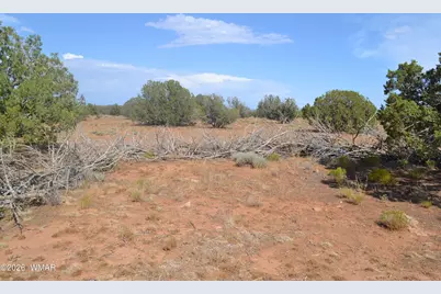 1771 W Ridgeview Ranch Drive, Snowflake, AZ 85937 - Photo 11